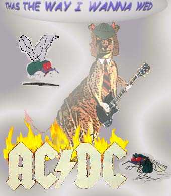 [logo socio n�m.2]